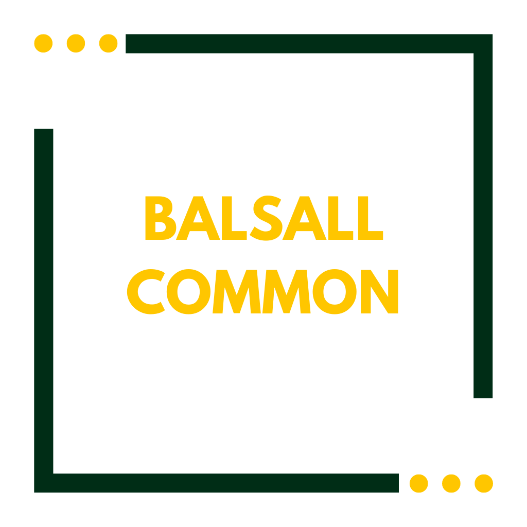 Balsall Common