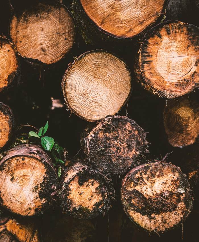 Cheap Logs: Why They’re Not Always The Best Choice